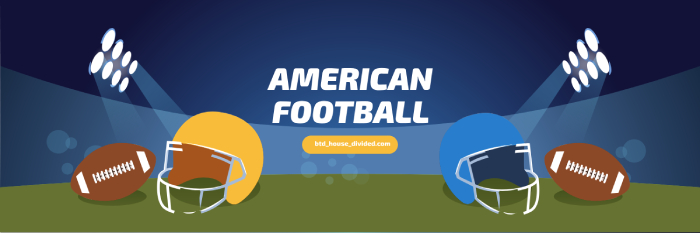 NFL House Divided Flag